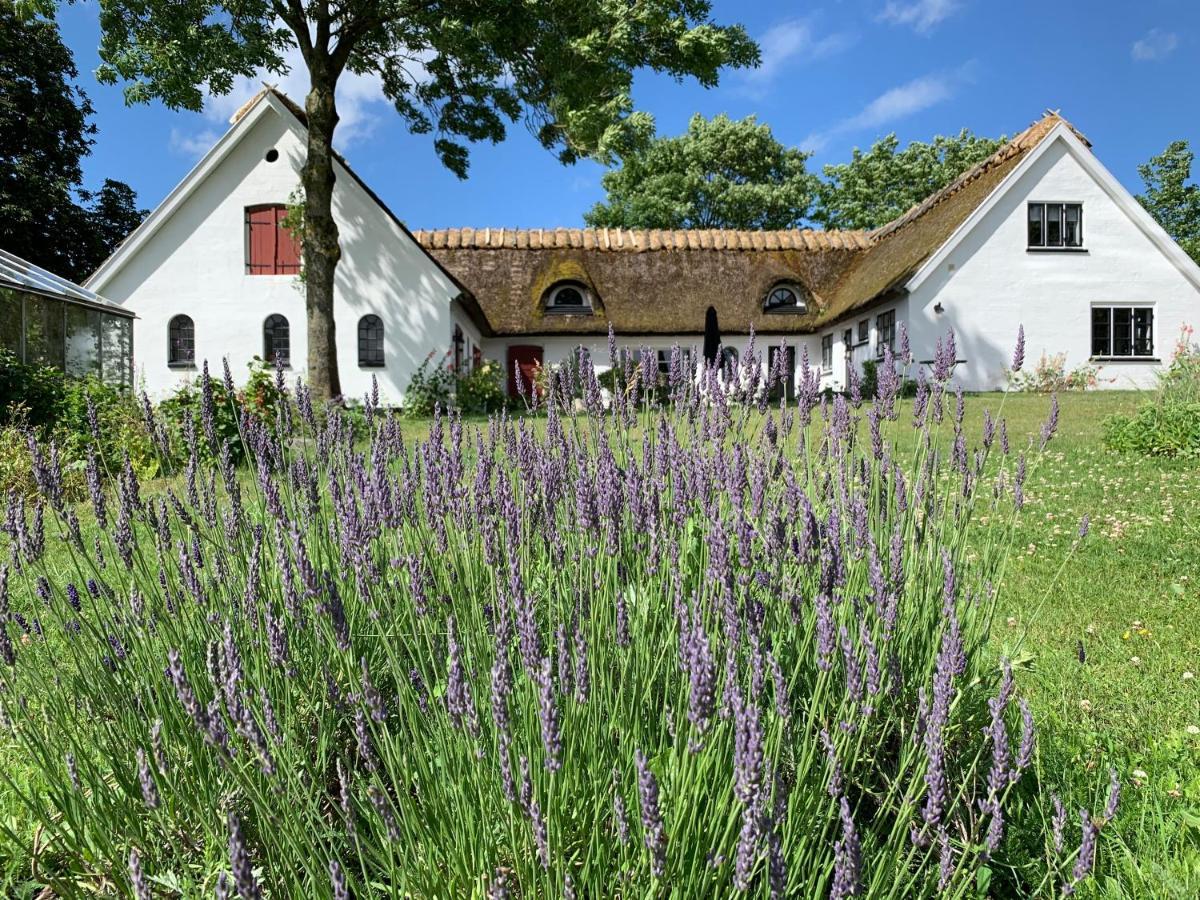 הילרוד Mariegaardens Gaestehuse מראה חיצוני תמונה